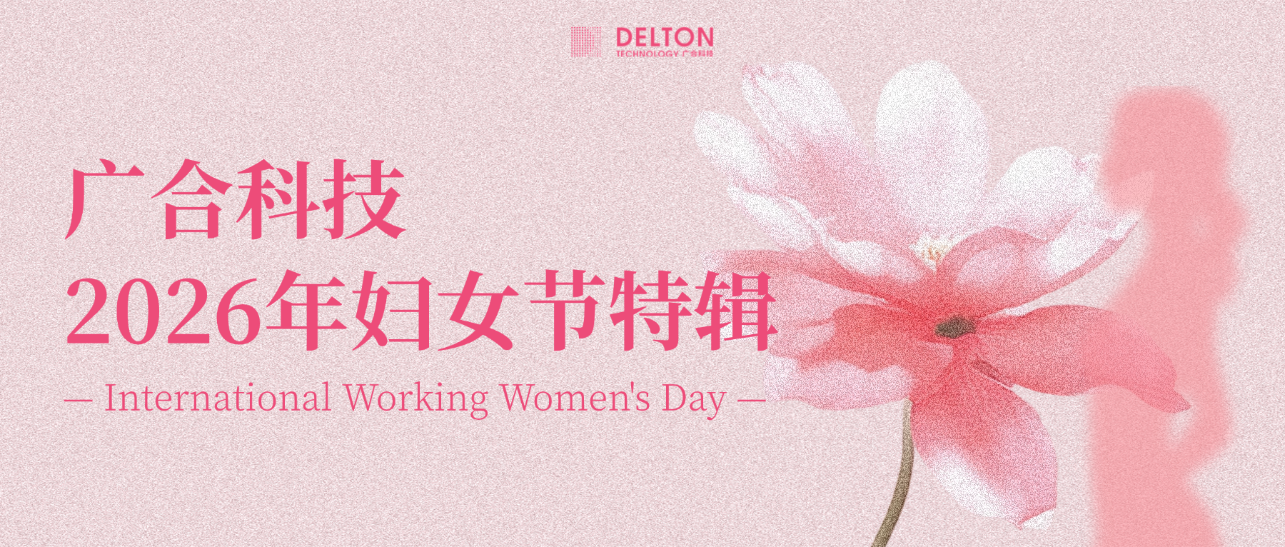 发现最美的 “她”